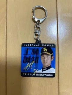 Item thumbnail for item 3fec128a-29c4-40b9-bd8d-f6c79dcf6f78