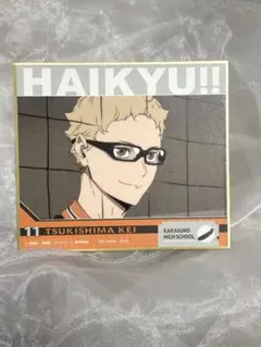 ハイキュー 一番くじ ゴミ捨て場の決戦2 月島蛍