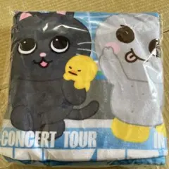 【新品未開封】RIIZE 東京ドーム アプグレ 特典 ブランケット