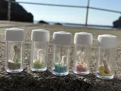 Item thumbnail for item c5e2a800-15e9-401d-8890-e506c761ec32