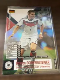 2026年最新】シュバインシュタイガーの人気アイテム - メルカリ