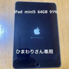 Apple iPad mini5 wifi 64GB 91% 本体 カバー付き