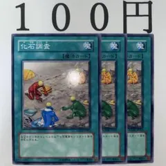 2026年最新】化石調査の人気アイテム - メルカリ