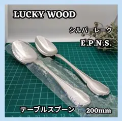 2026年最新】ラッキーウッド 銀の人気アイテム - メルカリ
