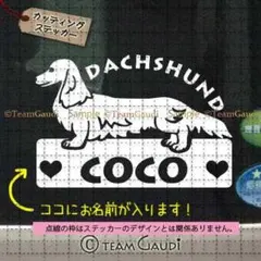 ダックスフンド 横長サイズ カッティングステッカードッグインカー 名前入