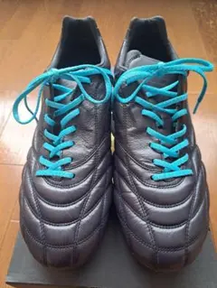 2025年最新】モレリア dna 26.5の人気アイテム - メルカリ