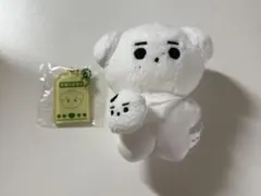 ENHYPEN ソンフンマスタードール40cm enhypen ソンフン ぬいぐるみ 40cm マスター - メルカリ