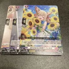 フェネル　ライドライン