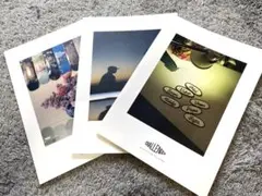 【非売品】challenger カタログ ルックブックのサムネイル