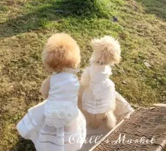 Item thumbnail for item 158202e0-9477-4c53-b2a3-992bf1ce2cae