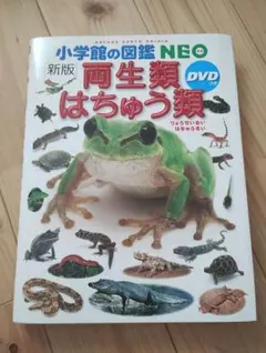 小学館の図鑑　NEO 両生類とはちゅう類　DVD付き