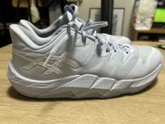 UNPRE ARS LOW 2