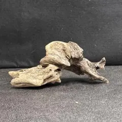 流木　〔アクアリウム（68）〕のサムネイル