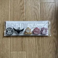 HIGH ＆ LOW THE LAND ラバーバッジセット