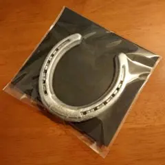【本物の蹄鉄】馬蹄