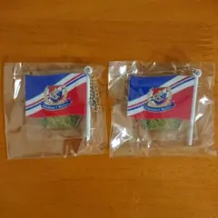 2025 Jリーグ フラッグチェーンコレクション ２個セット 横浜Fマリノス