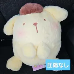 サンリオキャラクターズ ふんわりおすわり ドールBIGタイプ2 ポムポムプリン