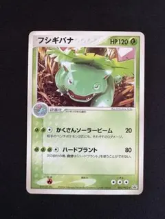 フシギバナ PROMO PCG-P プロモカード 003/PCG-P 2026年最新】ポケモンカード フシギバナ 003/PCG-P プロモの人気