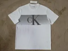 カルバンクライン メンズ ストライプ ckロゴ Tシャツ Ｍサイズ 白黒