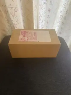 【新品・未開封】ポケモンセンター フクオカ スペシャルボックス