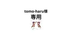tomo-haru-saya121516様 リクエスト 4点 まとめ商品