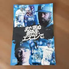 ファイターズ 記念グッズ フランミル・レイエス 清宮幸太郎