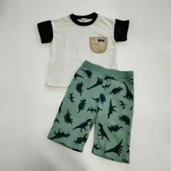 Tシャツ＆恐竜ハーフパンツ　110cm