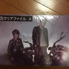 HiGH&LOW ローソン クリアファイル 雨宮兄弟