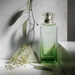 【エルメス】ナイルの庭　オードトワレ 20ml（シルバーガラス）のサムネイル