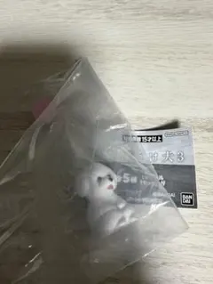 ティアラ(仕事多忙で返信対応遅れます)様 リクエスト 2点 まとめ商品