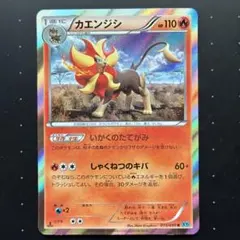 カエンジシ R XY2 ワイルドブレイズ 015/080