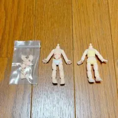 【10/15処分】キューポッシュ 男女 ボディ ハンドパーツ セット