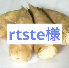 rtste様 京都山城産　朝掘り筍5kg