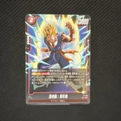 2026年最新】孫悟空 プロモの人気アイテム - メルカリ