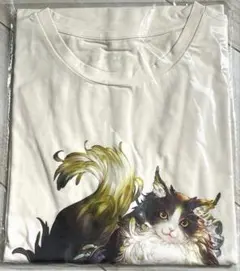 グラブル Tシャツ イーウィヤ 新品未使用 やわらかTシャツ