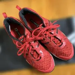 Item thumbnail for item bc51ce56-9f33-4323-8bf7-e5ce82c15015