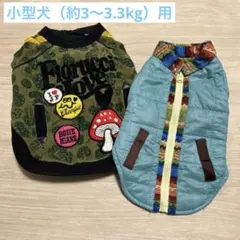 カラフルな犬服 2点セット