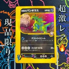 ポケモンカード BW 引退まとめ売り PROMO RR他 ポケモンカード ポケカ EX 48枚 まとめ売り 大量 引退品 XY BW