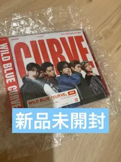 【新品未開封】WILD BLUE CURVE 通常盤