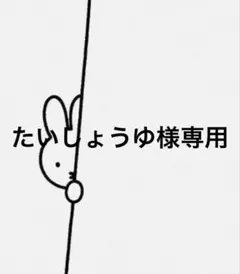 たいしょうゆ様 リクエスト 2点 まとめ商品　ジェルネイルシール　ヤスリ追加