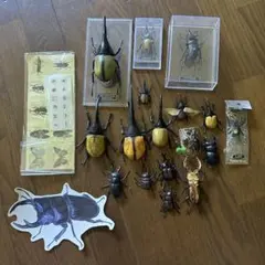 Item thumbnail for item 016d465c-cf14-4490-85d1-570477a0be23