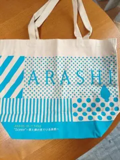 専用❤️嵐バッグ7個セット 41gZhwpJBpL._AC_UL210_SR210,