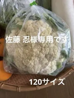佐藤 忍様専用です♡ 120サイズ　 3月31日ご発送です