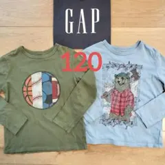 GAP キッズ Tシャツ 120cm スポーツ柄 クマ　セット