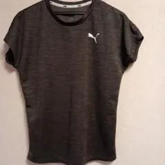PUMA 半袖Tシャツ Mサイズ ダークグレー プーマ