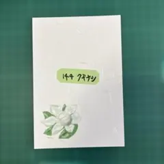 #144 クチナシ ポストカード10枚