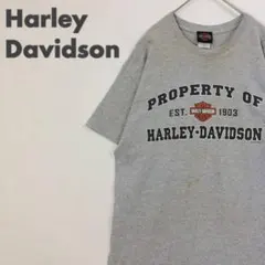 2288 ハーレーダビッドソン　ビッグロゴ　半袖　Tシャツ　ゆるだぼ　グレー