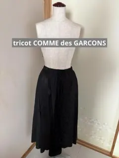 tricot COMME des GARCONS フレアスカート　ブラックのサムネイル