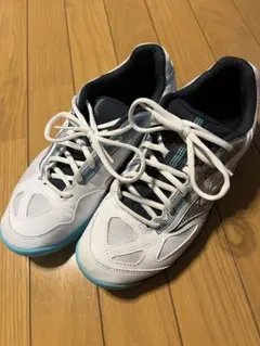 ミズノ　テニスシューズ 27.5cm カーペット用