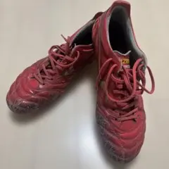 Mizuno Moreliaネオ4